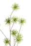 Artificial flower 123x25x5 cm GENTIAN green
