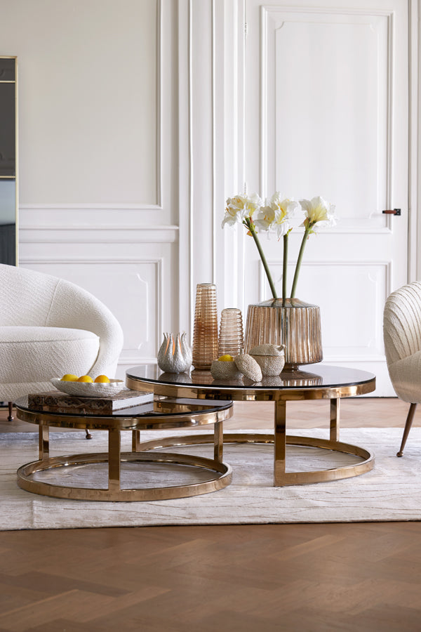 Coffee table S/2 max 100,5x36,5 cm MILAGRO glass brw+lgt gd