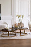 Coffee table S/2 max 100,5x36,5 cm MILAGRO glass brw+lgt gd