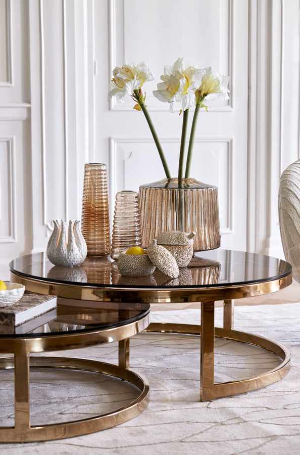 Coffee table S/2 max 100,5x36,5 cm MILAGRO glass brw+lgt gd