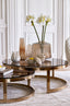 Coffee table S/2 max 100,5x36,5 cm MILAGRO glass brw+lgt gd