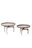 Coffee table S/2 64x39+75x44 cm PANO brown bronze