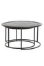 Coffee table S/2 60x38+78x42 cm TALCA lead antiq deep edge
