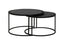Coffee table S/2 67,5x39,5+75x45 cm TALCA lead antiq edge