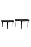 Coffee table S/2 64x39+75x44 cm TOBIAS black