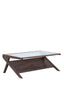 Coffee table 112x70x41 cm YUKI mango wood choco brown+glass