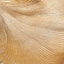 Gold Metal Dual Gingko Leaf Bowl