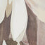 White and Natural Floral Canvas with Oak Effect Frame