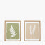S/2 Green and Natural Fern Canvas Wall Art with Natural Frames