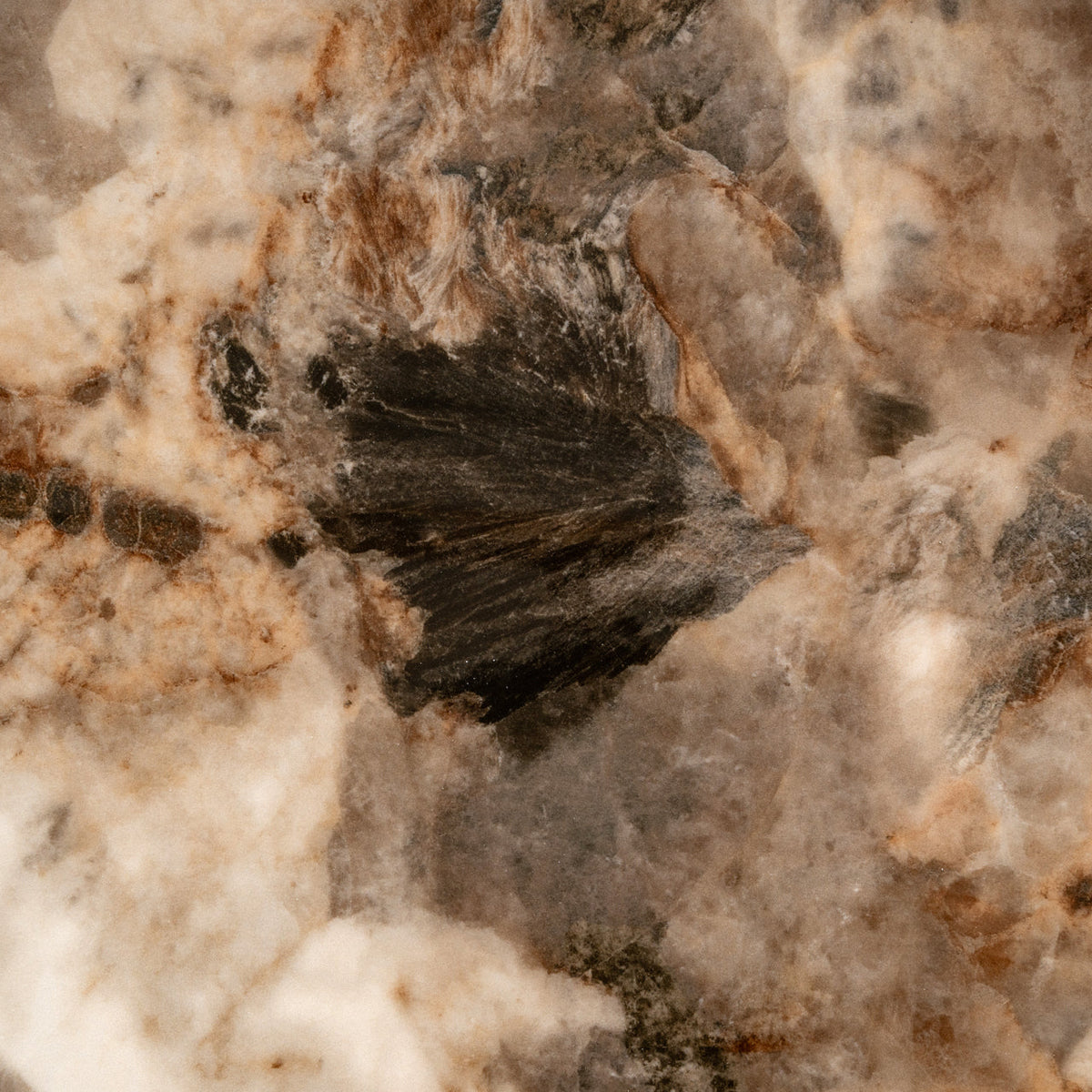 Coffee table Langford brown
