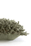 Cushion 60x30 cm COMALLO green