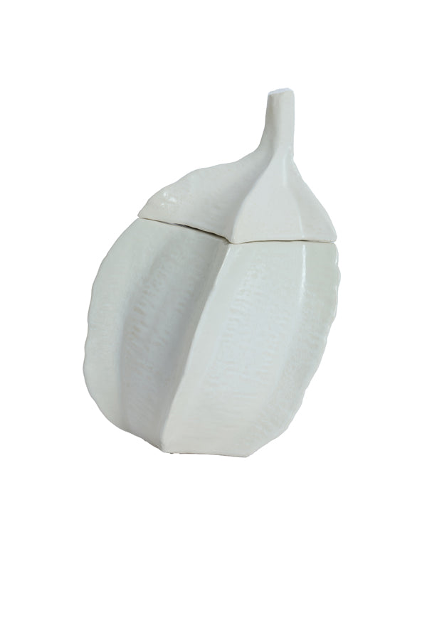 Deco box 21x20,5x31 cm SABARA shiny cream