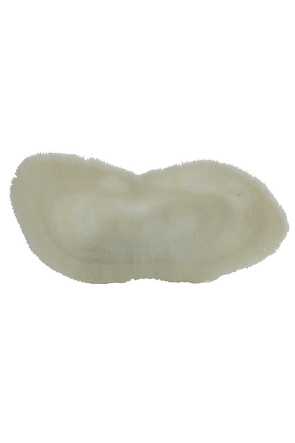 Ornament 14,5x5,5x3 cm CORAL cream