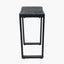 Mashu Matt Black Mango Wood and Iron Console Table