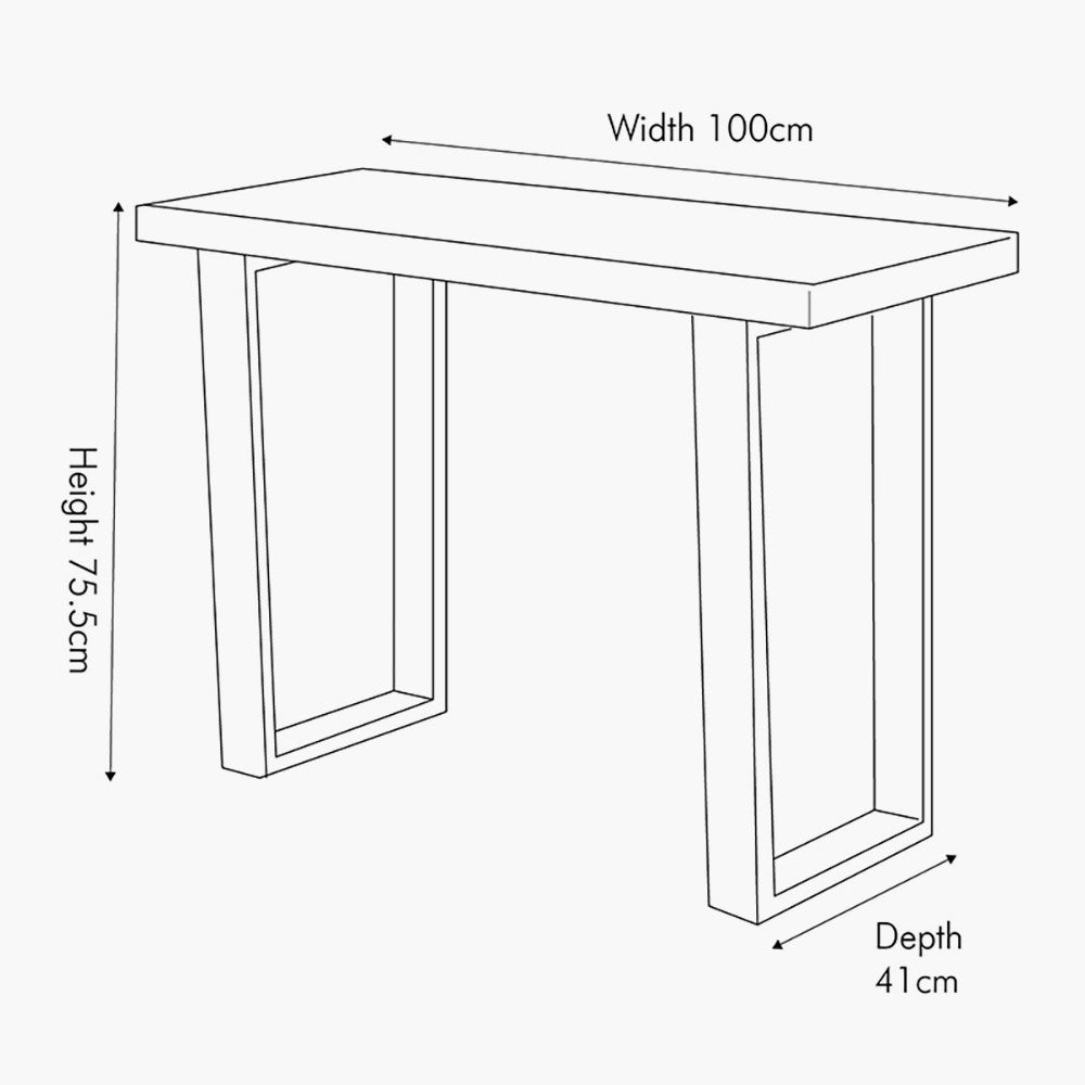 Mashu Matt Black Mango Wood and Iron Console Table