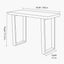 Mashu Matt Black Mango Wood and Iron Console Table