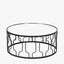Caprisse Mirrored Glass and Graphite Metal Coffee Table