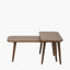 Elias Dark Ash Wood Retro Set of 2 Coffee Tables