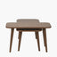 Elias Dark Ash Wood Retro Set of 2 Coffee Tables