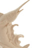 Ornament 33x16,5x43,5 cm SWORDFISH ceramics matt cream
