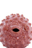Ornament 20x11,5x11,5 cm FISH ceramics coral