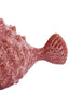 Ornament 20x11,5x11,5 cm FISH ceramics coral