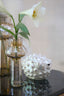Ornament 20x11,5x11,5 cm FISH ceramics cream pearl