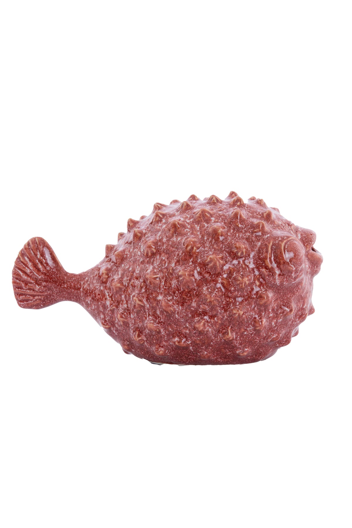 Ornament 25,5x14,5x14 cm FISH ceramics coral