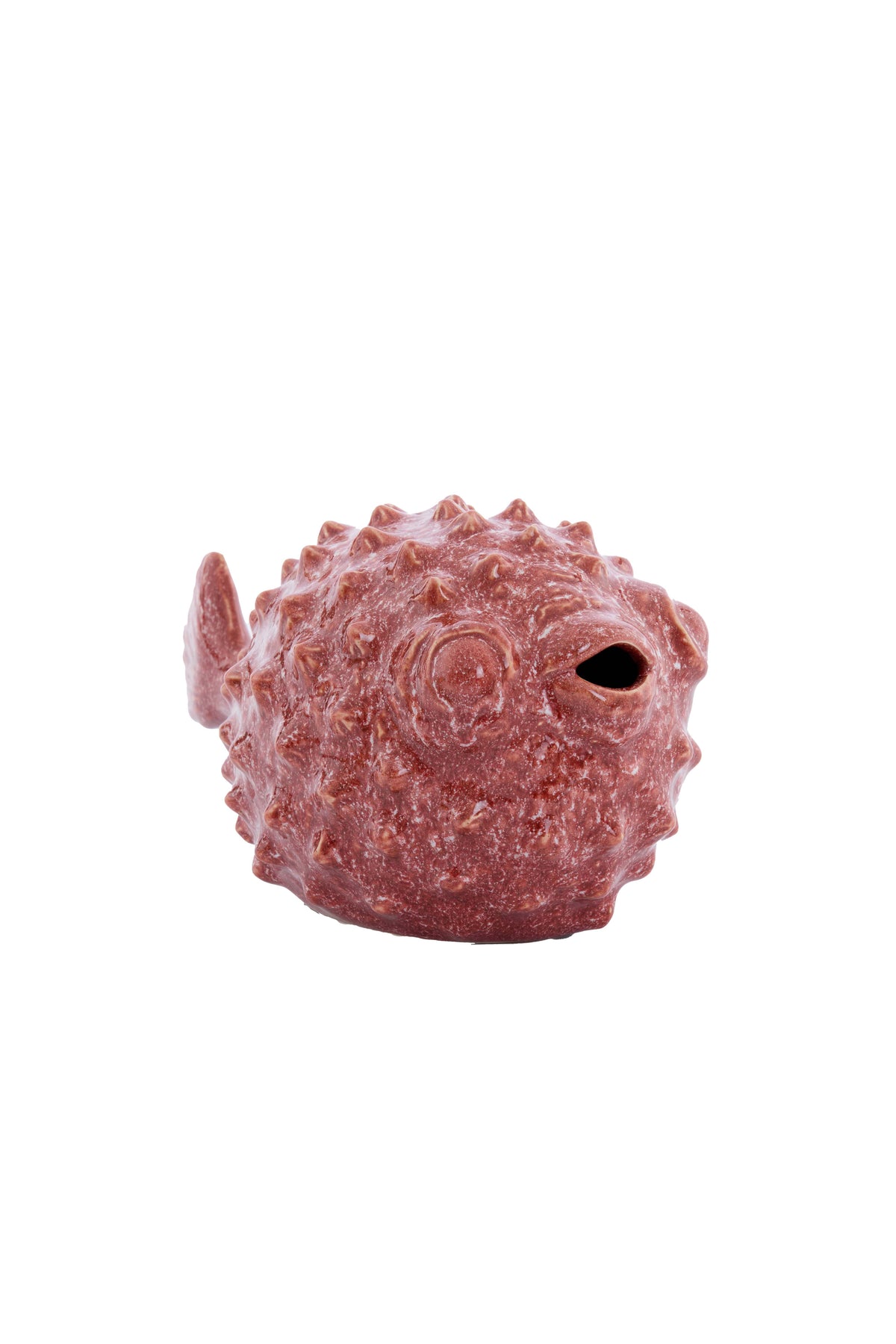 Ornament 25,5x14,5x14 cm FISH ceramics coral