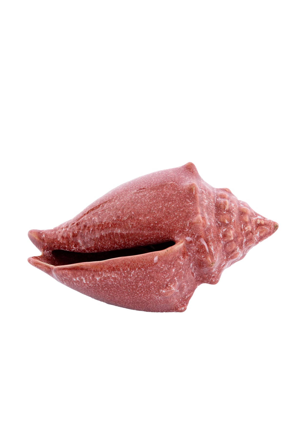 Ornament 18,5x11x10,5 cm SHELL ceramics coral