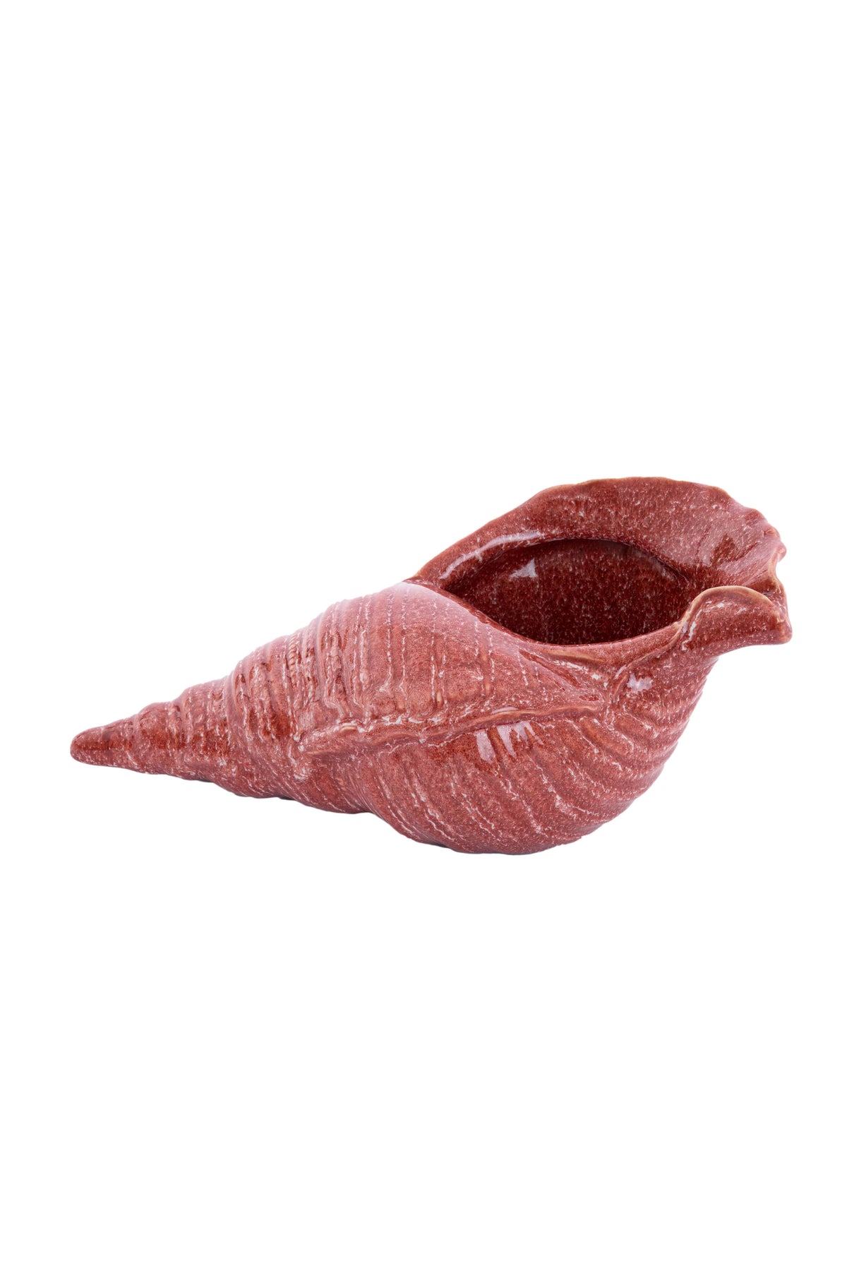 Ornament 30x15x11,5 cm SHELL ceramics coral