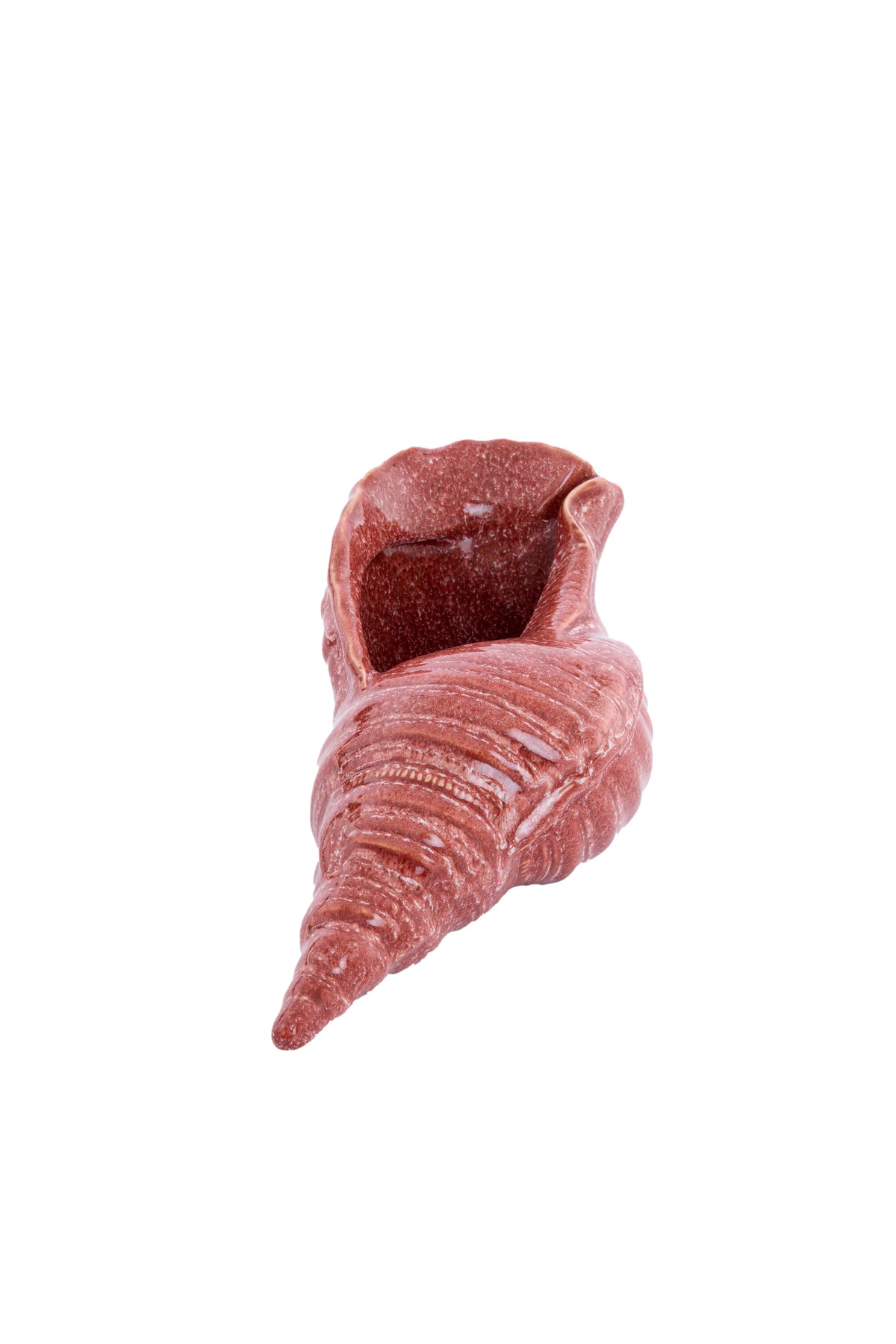 Ornament 30x15x11,5 cm SHELL ceramics coral
