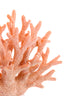 Ornament 19,5x8,5x15,5 cm CORAL light pink