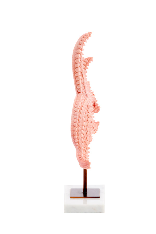 Ornament on base 28x8x36 cm STARFISH light pink+marble white