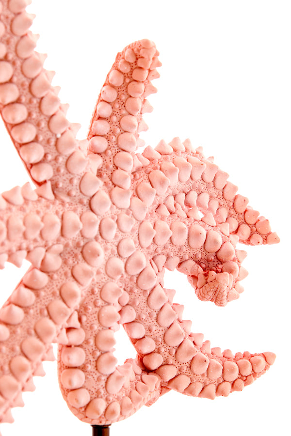 Ornament on base 28x8x36 cm STARFISH light pink+marble white