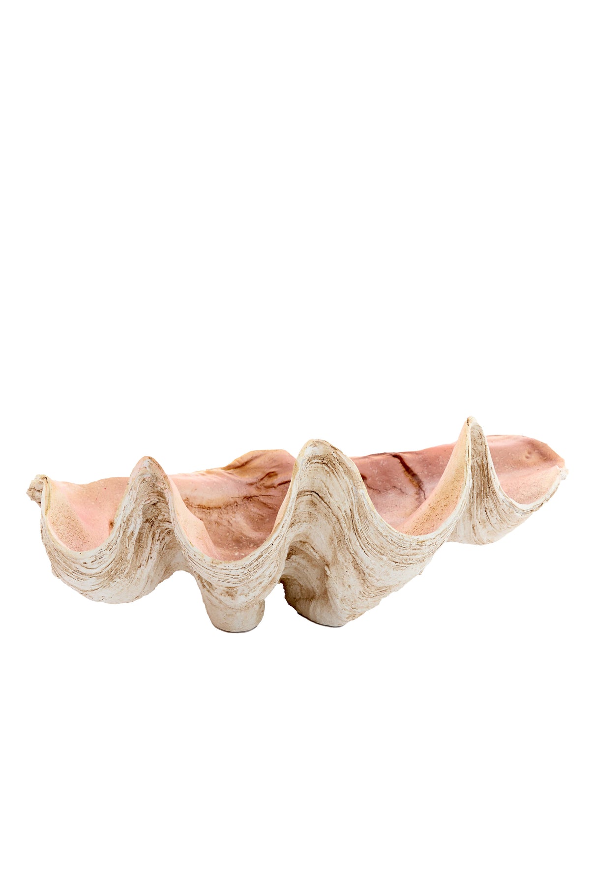 Ornament 41x25x17 cm SHELL taupe+coral