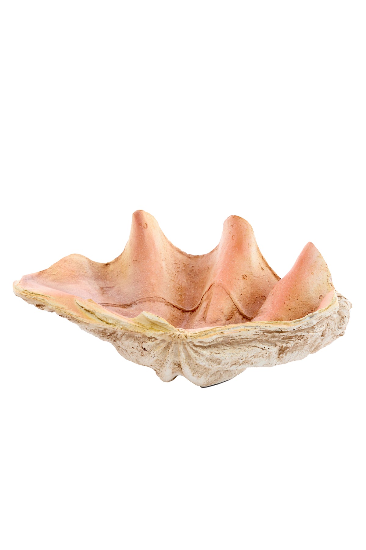 Ornament 41x25x17 cm SHELL taupe+coral
