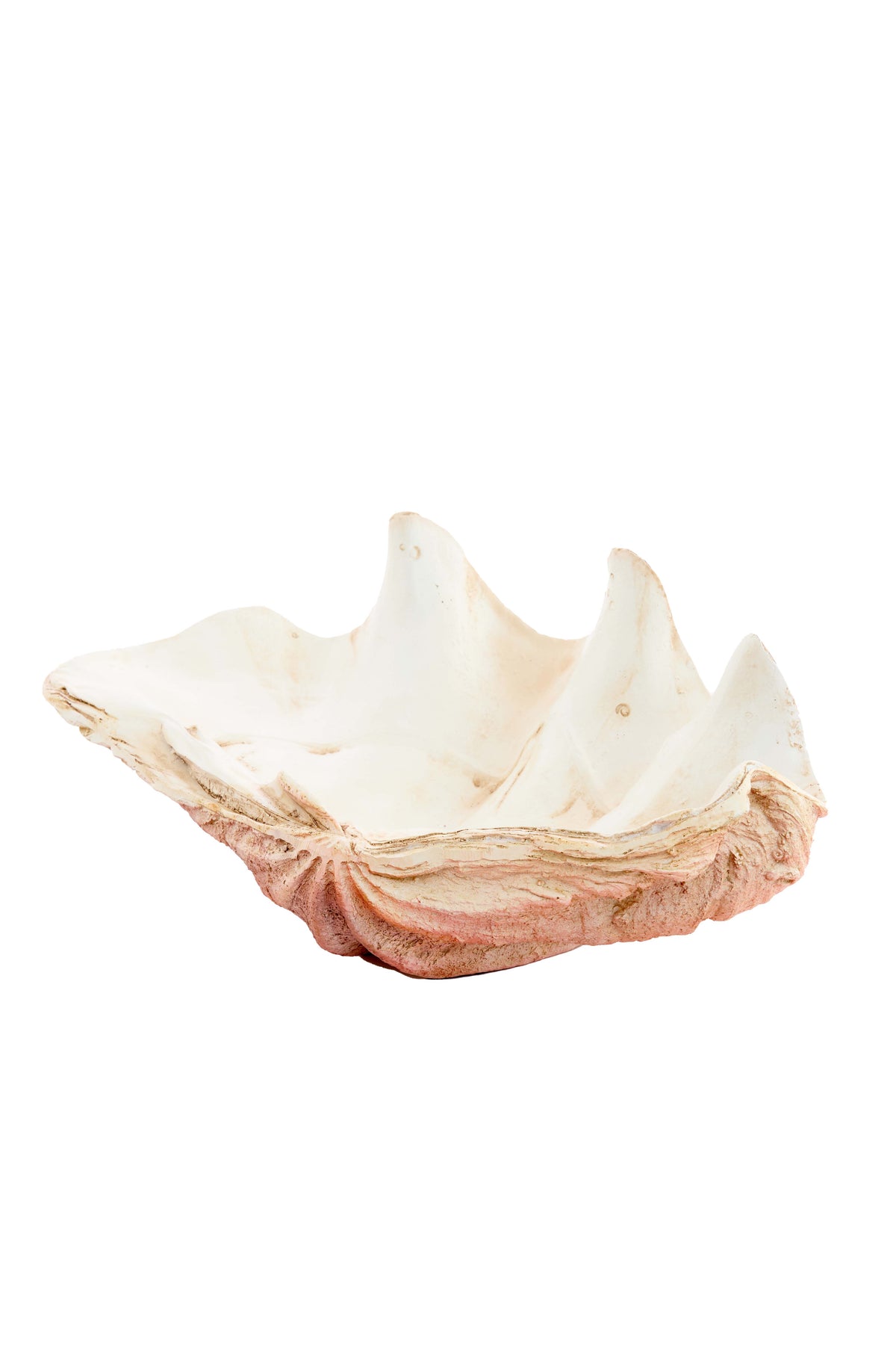 Ornament 41x25x17 cm SHELL coral+cream