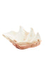 Ornament 41x25x17 cm SHELL coral+cream