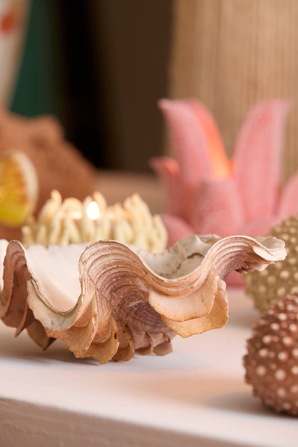 Ornament 23,5x18x11 cm SHELL coral+cream