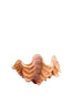 Ornament 20x12,5x7,5 cm SHELL coral+cream