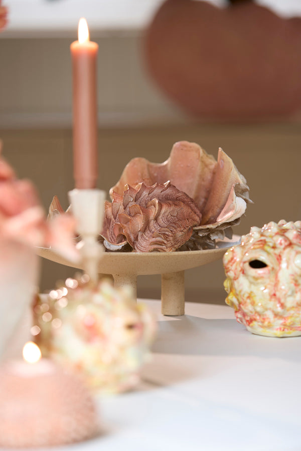 Ornament 20x12,5x7,5 cm SHELL coral+cream