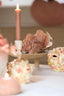 Ornament 20x12,5x7,5 cm SHELL coral+cream