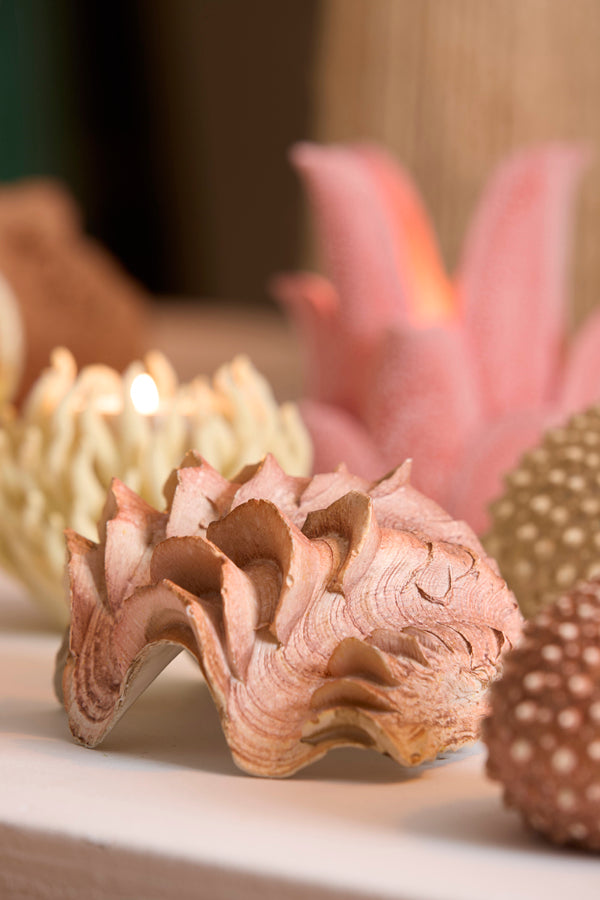 Ornament 20x12,5x7,5 cm SHELL coral+cream