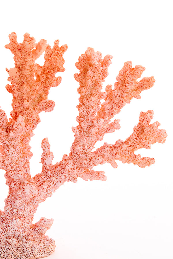 Ornament 34,5x9,5x25 cm CORAL coral