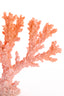 Ornament 34,5x9,5x25 cm CORAL coral