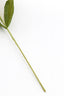 Artificial flower 26x7x73 cm HALIA paper green+yellow