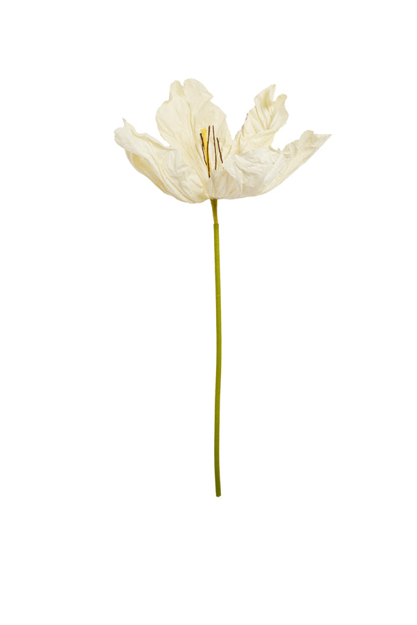 Artificial flower 32x32x120 cm LOEK paper green+cream