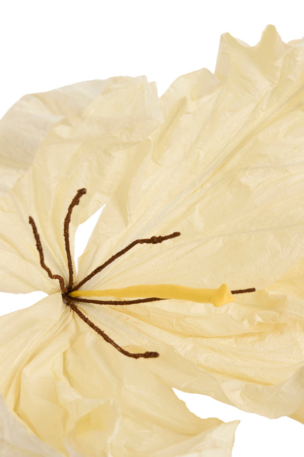 Artificial flower 32x32x120 cm LOEK paper green+cream