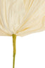 Artificial flower 32x32x120 cm LOEK paper green+cream